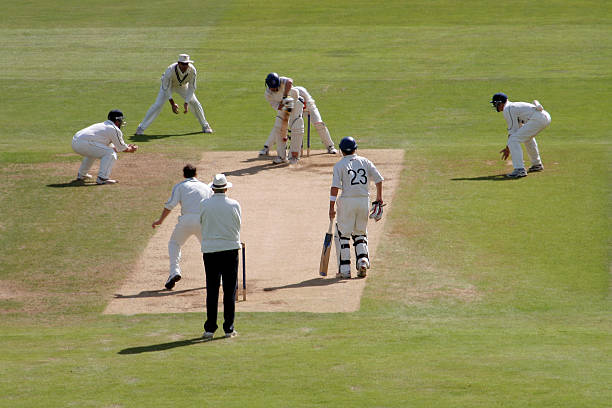 Exploring the availability of live streaming on cricket betting websites